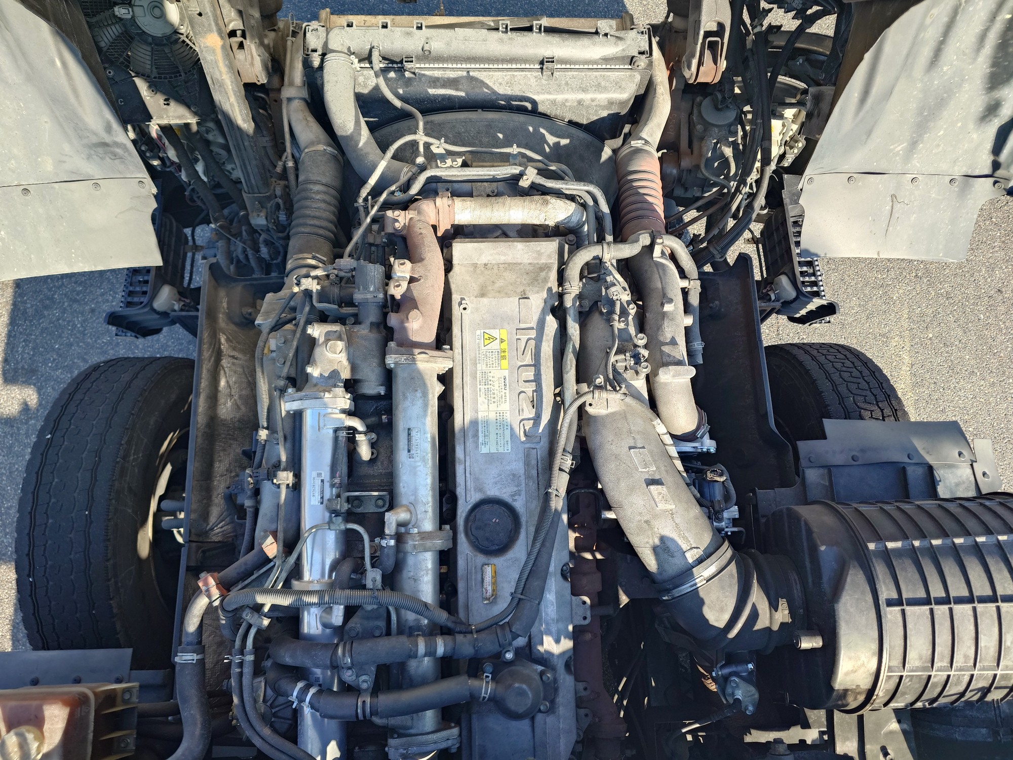 いすゞ　シングルトラクタ